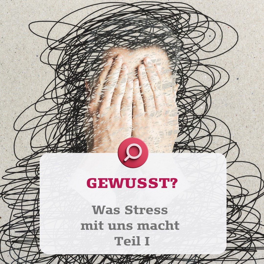 Was Stress mit uns macht | Teil 1