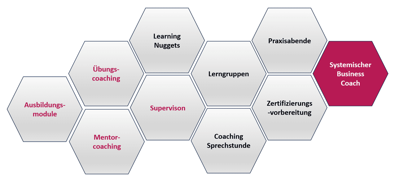 Dieses Wabenmodell veranschaulicht unser integriertes Ausbildungskonzept, das sowohl theoretisch fundiert als auch praxisnah ist. Wenn Sie Coaching nicht nur lernen, sondern wirklich verstehen, anwenden und leben wollen, ist unsere ganzheitliche Coaching Ausbildung der richtige Weg.
